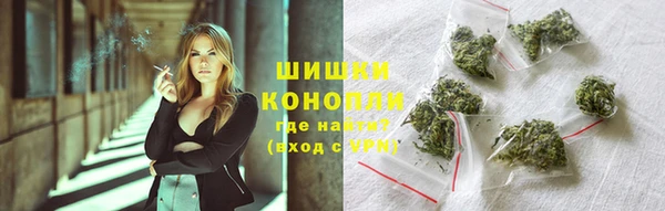 spice Инсар
