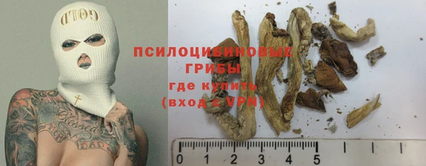 скорость Зеленодольск