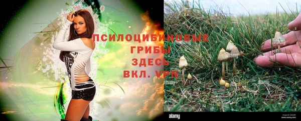 марихуана Зеленокумск