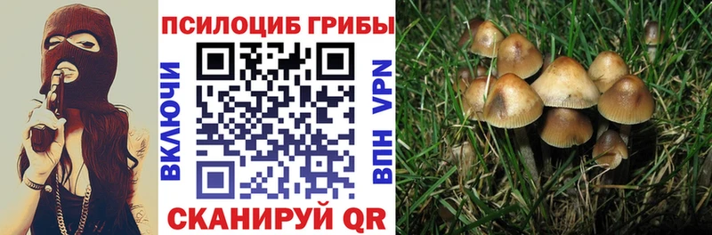 Псилоцибиновые грибы GOLDEN TEACHER  Купить  Георгиевск 